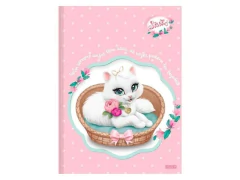 CADERNO BROCHURAO CD SISSI 48FLS - loja online