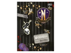 CADERNO BROCHURAO CD 80FLS WANDINHA - comprar online