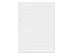REFIL BLOCO DE FICHARIO CADERNO ARGOLADO UNIVERSITARIO CINZA PAUTA BRANCA 90G 80FLS - comprar online