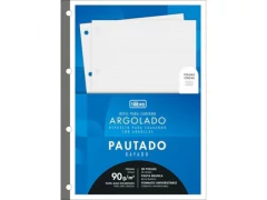 REFIL BLOCO DE FICHARIO CADERNO ARGOLADO UNIVERSITARIO CINZA PAUTA BRANCA 90G 80FLS na internet