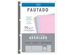 REFIL BLOCO DE FICHARIO UNIVERSITARIO COR 90G 80FLS - comprar online
