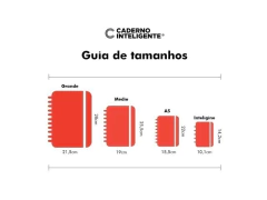 DIVISORIAS CADERNO INTELIG COLORCODE GRANDE 10UNID 21,5X28CM na internet