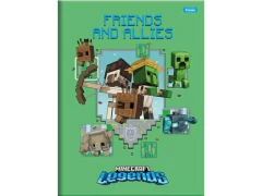 CADERNO BROCHURA PEQUENO CD 48F MINECRAFT CAPAS SORTIDAS na internet