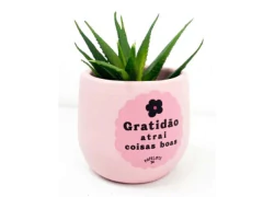 CACHEPOT GRATIDAO ATRAI COISAS BOAS