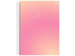 CADERNO DE 01 MATERIA CD 80FLS CLEAN - comprar online