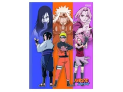 CADERNO BROCHURAO UNIVERSITARIO CD 48FLS NARUTO CAPA SORTIDA - comprar online