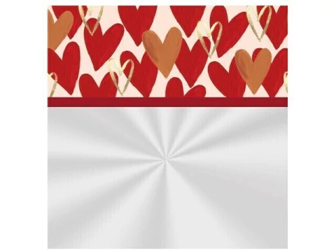 SACO TRANSPARENTE 60X75 SEASON LOVE BARRADO