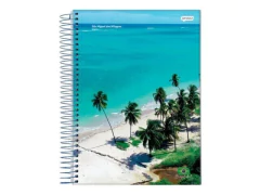 CADERNO 1/4 ESPIRAL 48FLS BRASILIDADE JANDAIA