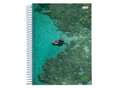 CADERNO 1/4 ESPIRAL 48FLS BRASILIDADE JANDAIA - Papelaria Visão
