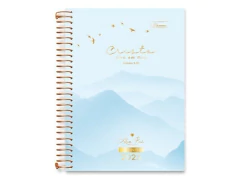 AGENDA ESPIRALADA 80FLS ABA PAI CAPAS SORTIDAS - comprar online