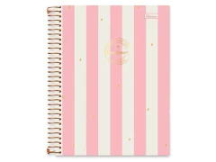 CADERNO ESC 01X1 MATERIA C PLANNER DAYDREAN CP SORTIDAS na internet