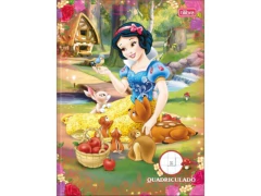 Imagem do CADERNO BROCHURAO GR QUADRICULADO 1.0 PRINCESAS 40FLS SORT