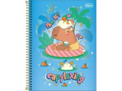 CADERNO DE 01 MATERIA FEMININO CAPYCLUB 80FLS CAPAS SORTIDAS - comprar online