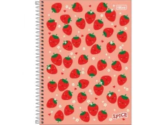 CADERNO DE 20 MATERIAS SPICE FEMININO 320FLS