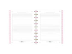 CADERNO TILIDISCO UNIVERSITARIO CONNECT 10 MATERIAS ABACUTE 160FLS - Papelaria Visão