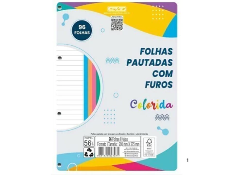 BLOCO DE FICHARIO COM 04 FUROS 96FLS COLORIDO