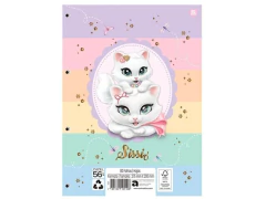 BLOCO DE FICHARIO COM 04 FUROS 80FLS SISSI