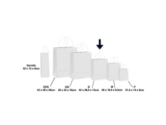 SACOLA PAPEL LUIZA G 32X26,5X13CM - comprar online