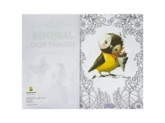 LIVRO DE COLORIR 365 JARDIM ENCANTADO - loja online