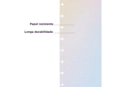 REFIL RAINBOW FOLHAS CADERNO INTELIG MEDIO 120G 19X25,5CM na internet