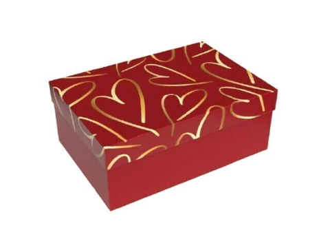 CAIXA PRESENTE 23X16X9CM ESTAMPA APEGO MM411 A UNIDADE