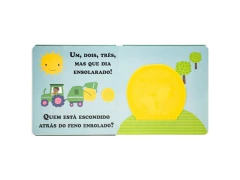 LIVRO INFANTIL AMIGOS FOFINHOS ESCONDE-ESCONDE FAZENDA na internet