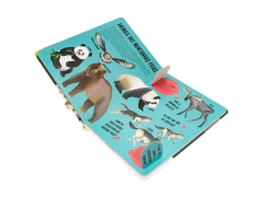 LIVRO INFANTIL LANTERNA PROCURE E ENCONTRE ANIMAIS - Papelaria Visão