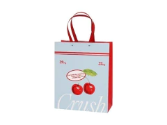 SACOLA PAPEL PRESENTE FRUIT 14X14X10CM - comprar online