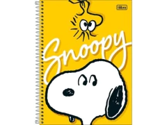 CADERNO DE 1 MATERIA CONNECT SNOOPY 80 FLS CAPAS SORTIDAS - comprar online