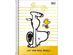 CADERNO DE 10 MATERIAS SNOOPY 160FLS CAPAS SORTIDAS - Papelaria Visão