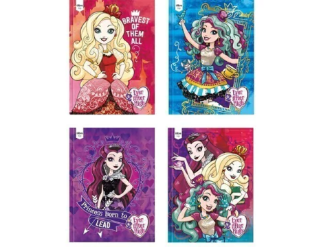 CADERNO BROCHURAO 96F CD EVER AH CAPA SORTIDAS - comprar online