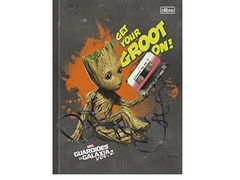 CADERNO BROCHURAO 96F GUARDIAOES DA GALAXIAS CAPA SORTIDAS - comprar online