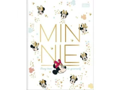 CADERNO BROCHURAO CD 48FLS MINNIE