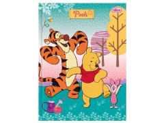 Imagem do CADERNO BROCHURAO 96F CD POOH