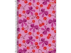 CADERNO DE 01 MATERIA 96FLS D+ MAIS FEMININO CAPAS SORTIDAS