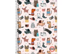 CADERNO DE 01 MATERIA CD 80FLS PAPPER FEMININO SORTIDAS