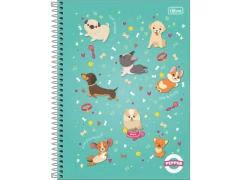 CADERNO DE 01 MATERIA CD 80FLS PAPPER FEMININO SORTIDAS