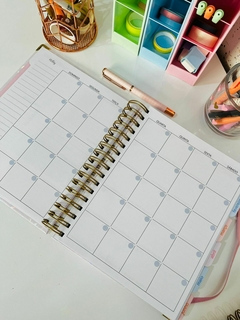 Últimas Unidades Planner 2025 - Poá na internet