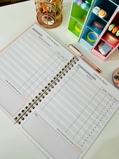 Planner financeiro - Rosa