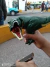 ZAZAZA DINOSAURIO® Original - Brinquedito