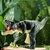 ZAZAZA DINOSAURIO® Original - loja online