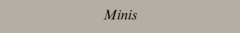 Banner de la categoría MINIS