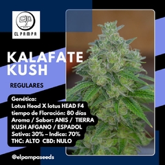 KALAFATE KUSH x 12 Reg - comprar online