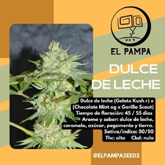 DULCE DE LECHE x3 en internet