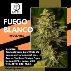 FUEGO BLANCO x 12 Reg - comprar online