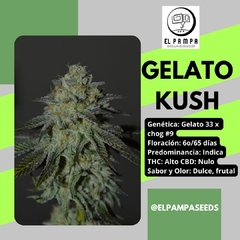 GELATO KUSH x 3 Fem - comprar online