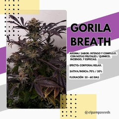 GORILA BREATH X 5 - comprar online