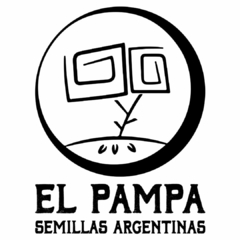 PAMPAS OG - x 6 Regu
