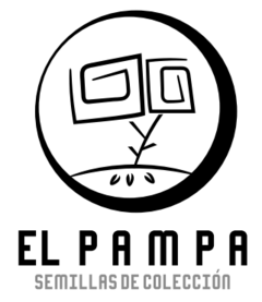 PAMPA KUSH x5 Fem - comprar online