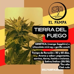 TIERRA DEL FUEGO X 5 - comprar online